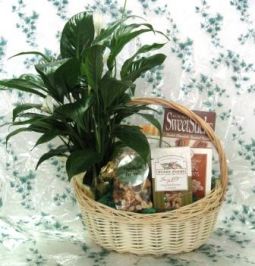 Sensational With Our Sympathy ($50 & Up)
